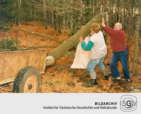 Holz aus Cosel-Zeisholz für den Korbmacher Peters