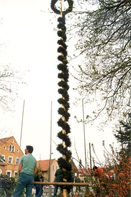 Aufstellung des Maibaumes in Zschornau-Schiedel