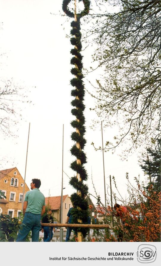 Aufstellung des Maibaumes in Zschornau-Schiedel