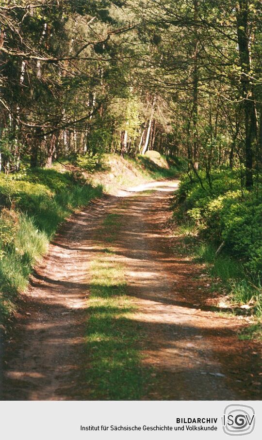 Alte Poststraße bei Reichenau