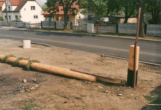 Umgesägter Maibaum in Oßling