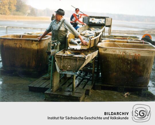 Fischwaage in Deutschbaselitz