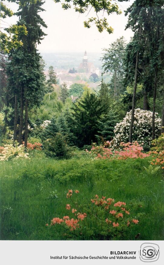 Der Hutberg