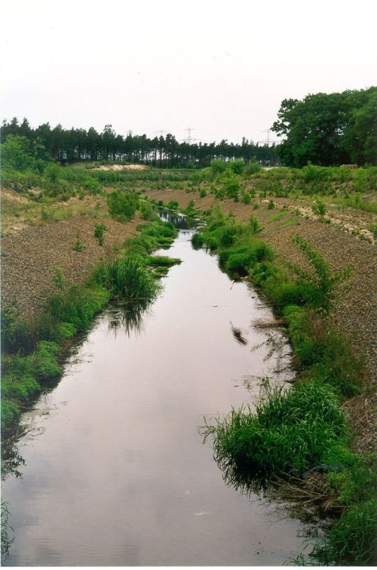 Altes Flußbett der Spree in Burghammer