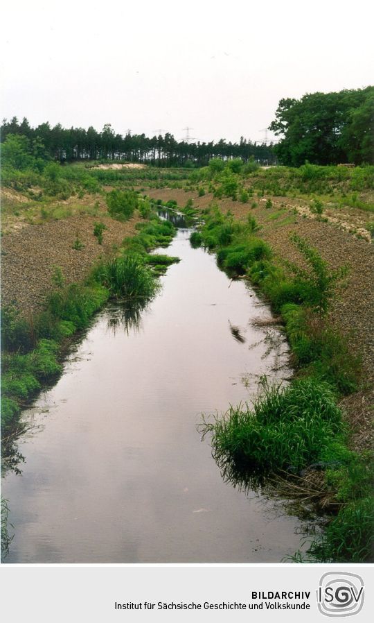 Altes Flußbett der Spree in Burghammer