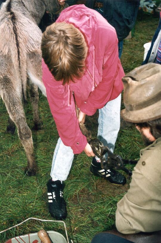 Dorffest zum 650-jährigen Jubiläum in Kleinröhrsdorf