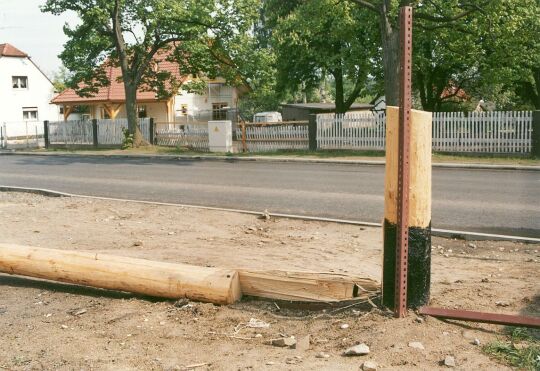 Umgesägter Maibaum in Oßling