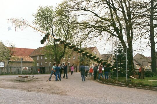 Aufstellung des Maibaumes in Zschornau-Schiedel