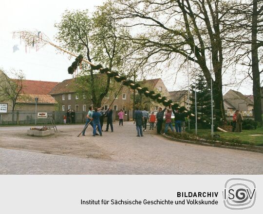 Aufstellung des Maibaumes in Zschornau-Schiedel