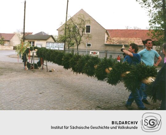 Aufstellen des Maibaums in Zschornau-Schiedel