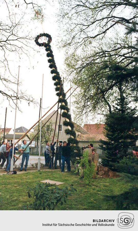 Aufstellen des Maibaums in Zschornau-Schiedel