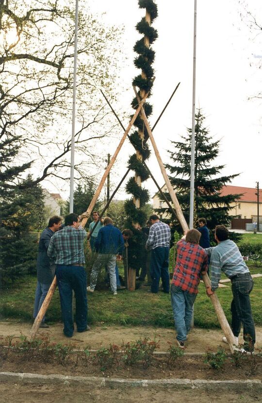 Aufstellung des Maibaumes in Zschornau-Schiedel