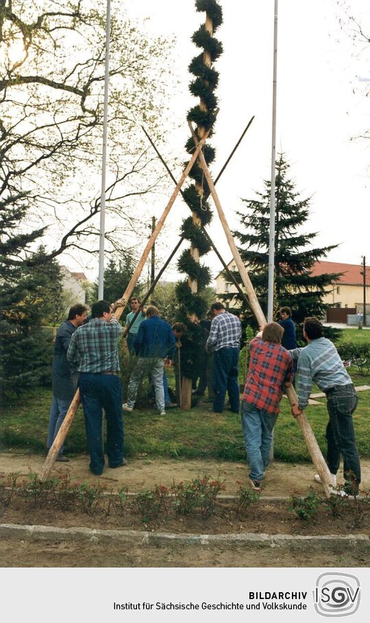 Aufstellung des Maibaumes in Zschornau-Schiedel