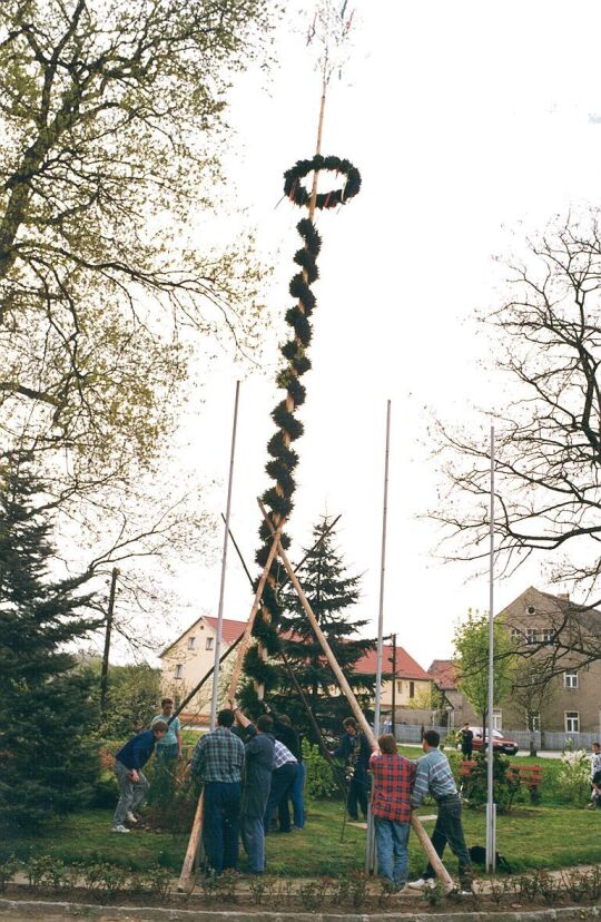 Aufstellung des Maibaumes in Zschornau-Schiedel