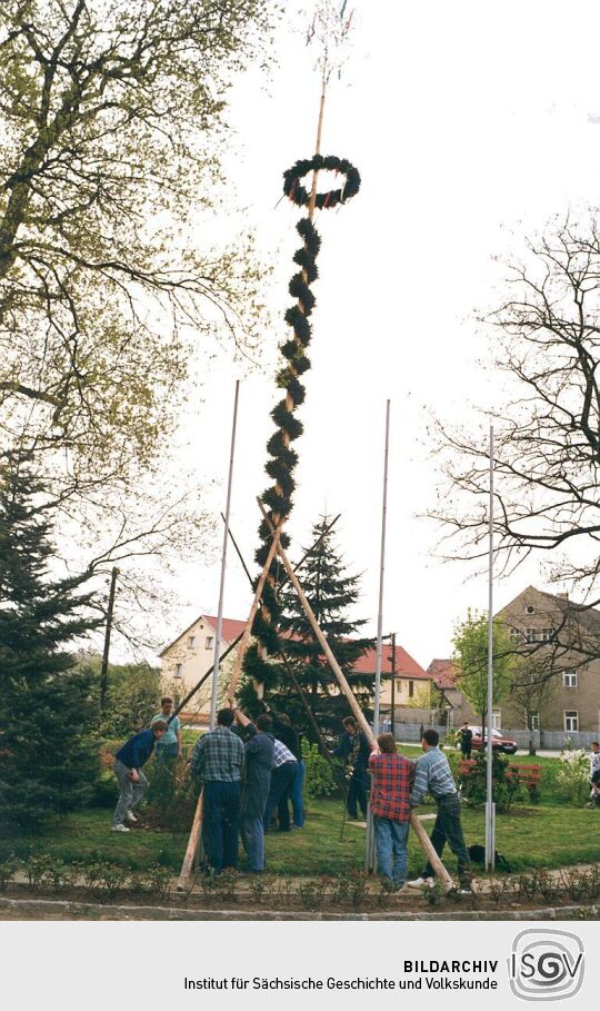 Aufstellung des Maibaumes in Zschornau-Schiedel