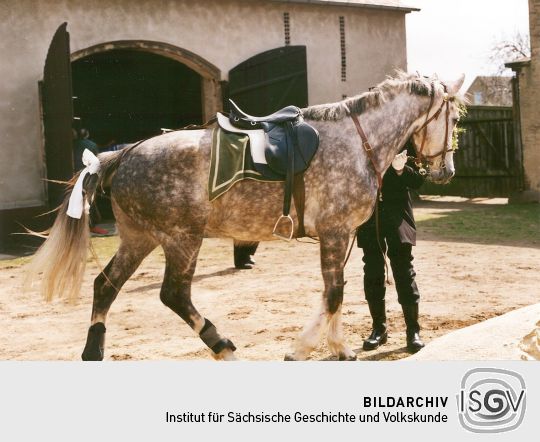 Pferd vom Osterreiten in Ralbitz