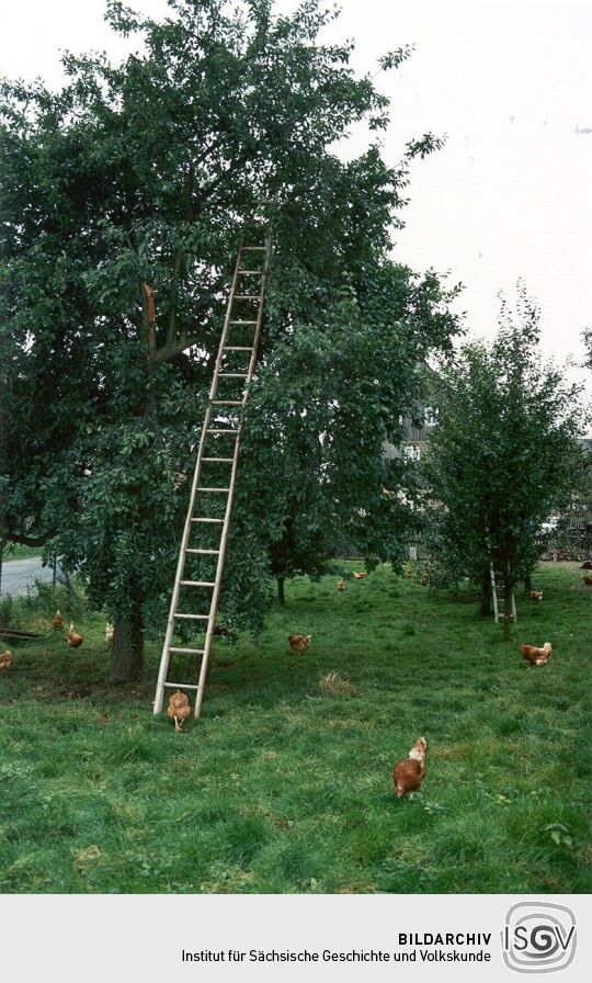 Garten in Kleinröhrsdorf