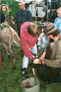 Bild: Dorffest zum 650-jährigen Jubiläum in Kleinröhrsdorf