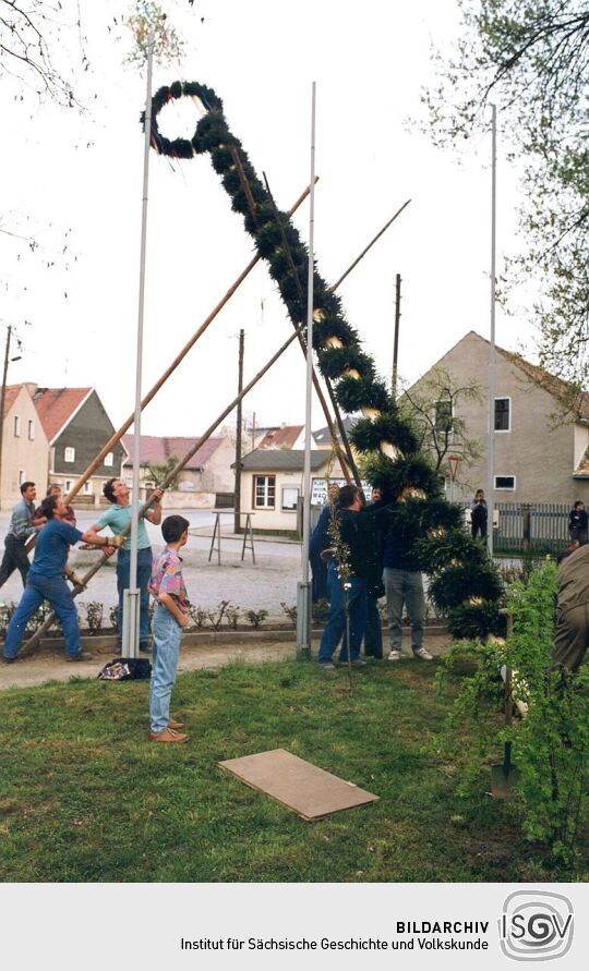Aufstellen eines Maibaumes in Zschornau-Schiedel