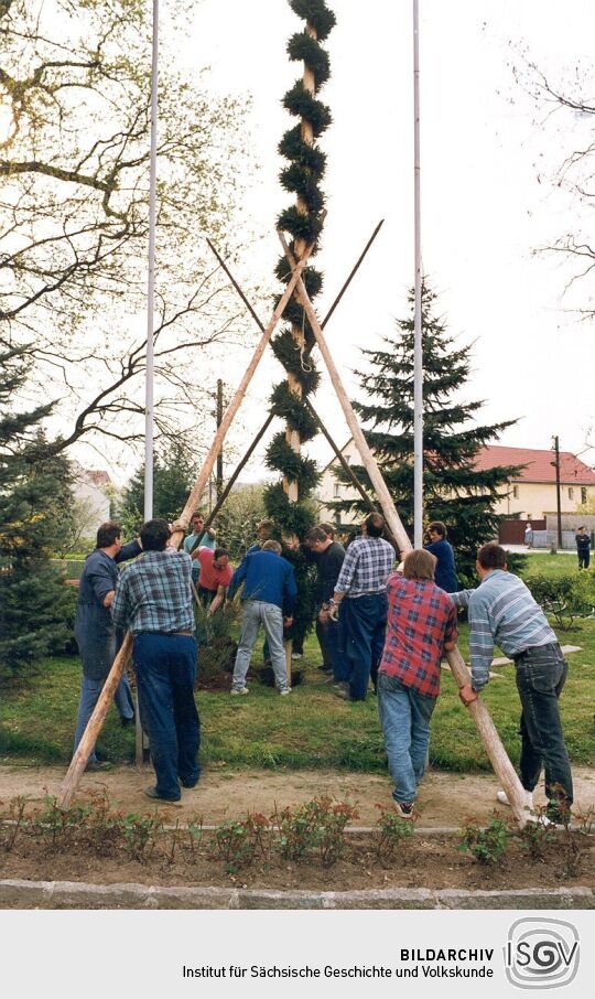 Aufstellen eines Maibaumes in Zschornau-Schiedel