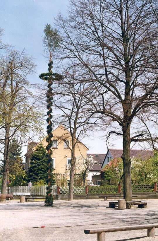 Maibaum auf dem Dorfplatz in Deutschbaselitz