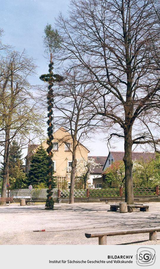 Maibaum auf dem Dorfplatz in Deutschbaselitz