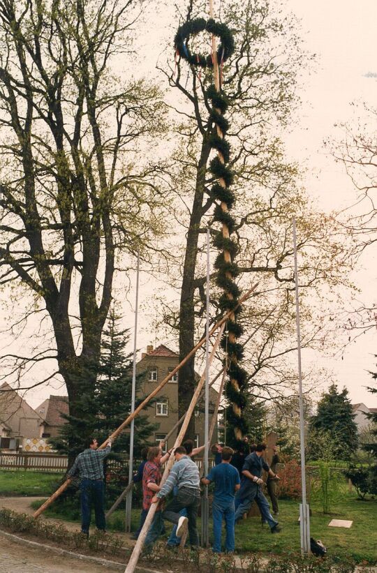 Aufstellen eines Maibaumes in Zschornau-Schiedel