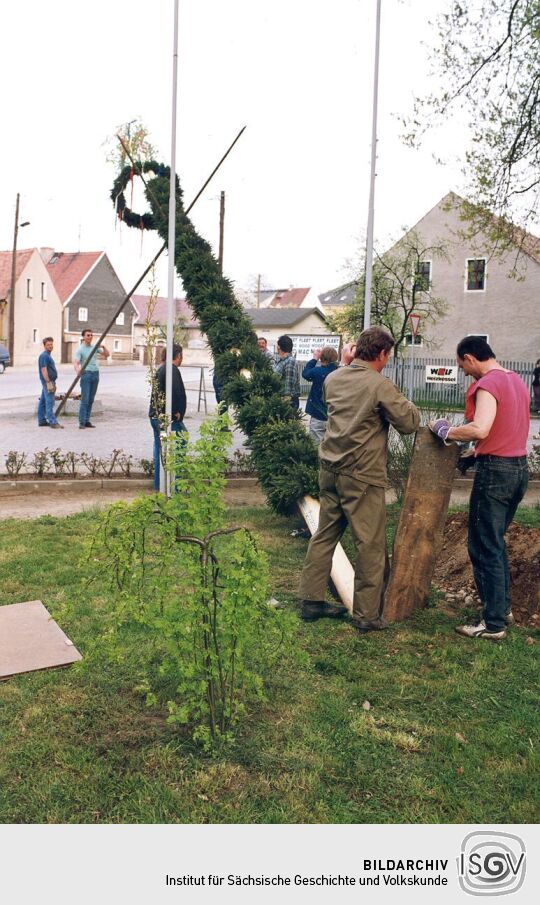 Aufstellen eines Maibaumes in Zschornau-Schiedel