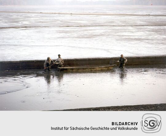 Deutschbaselitzer Großteich beim Abfischen