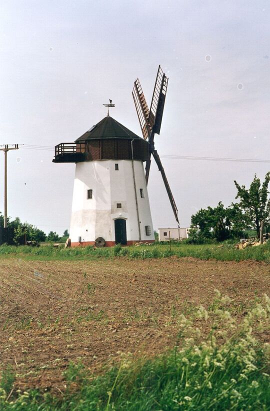 Windmühle von Priester