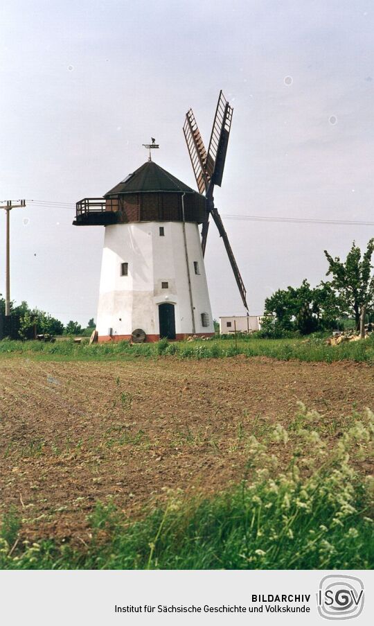 Windmühle von Priester