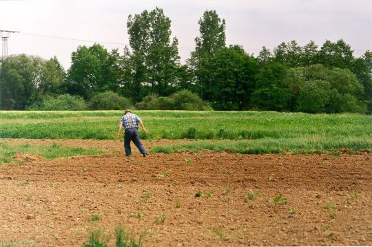 Landwirtschaft in Mörtitz