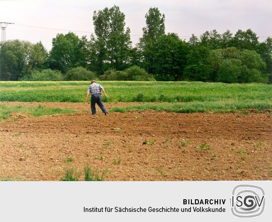 Landwirtschaft in Mörtitz