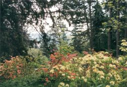 Bild: Hutberg bei Kamenz