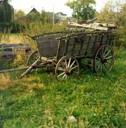 Ochsenkartren in Nauenhain