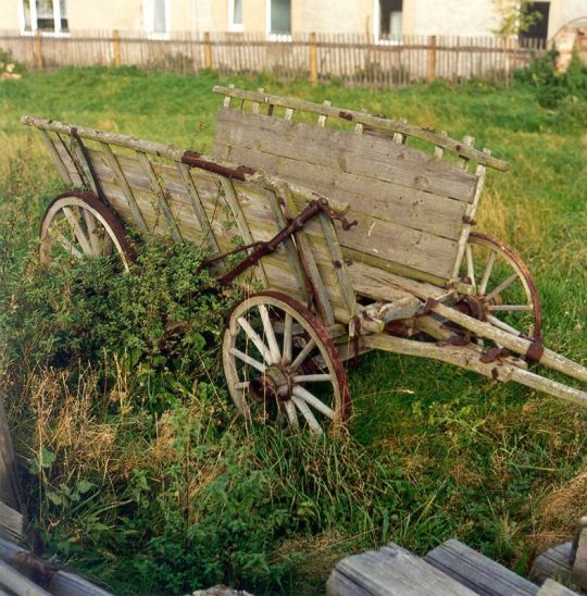 Ochsenkarren in Nauenhain