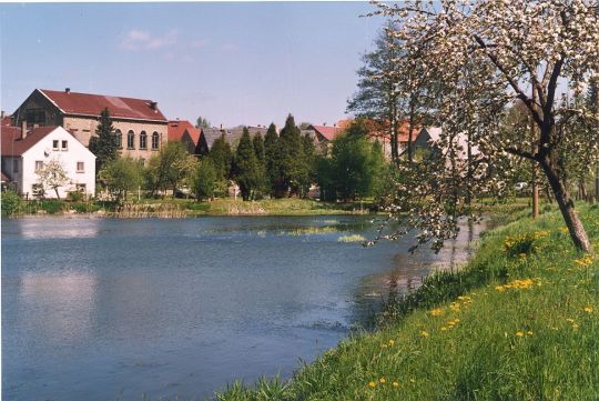 Dorfteich in Leppersdorf