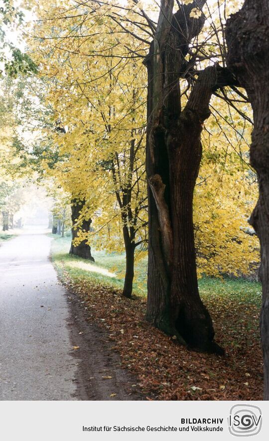 Dorfstraße in Gersdorf