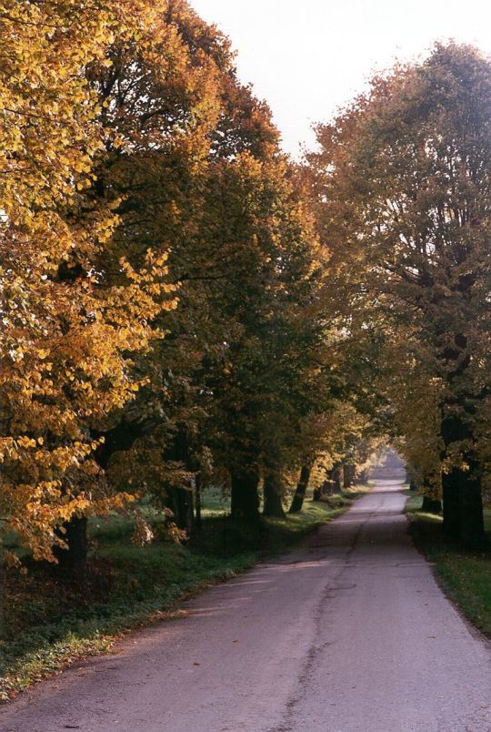 Dorfstraße in Gersdorf