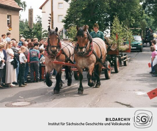 Festumzug zur 700-Jahr-Feier in Moritzburg