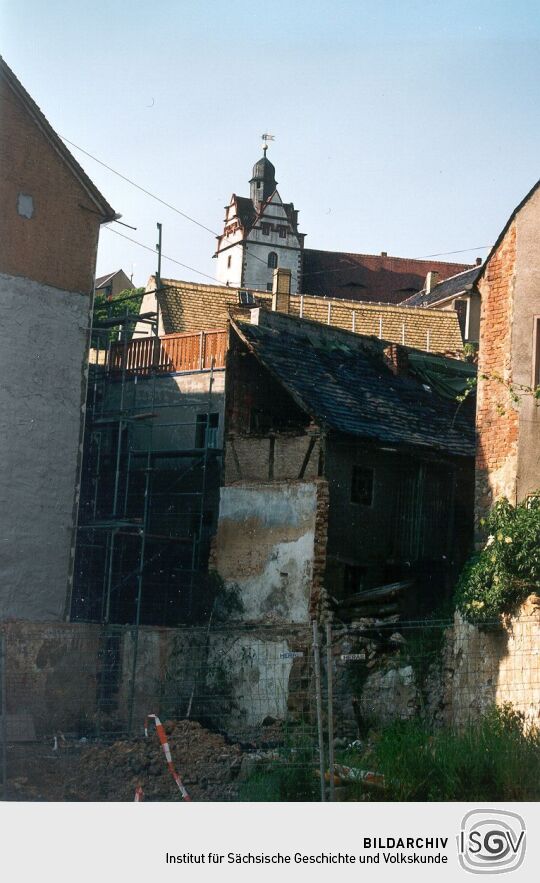 Blick auf das Colditzer Schloß