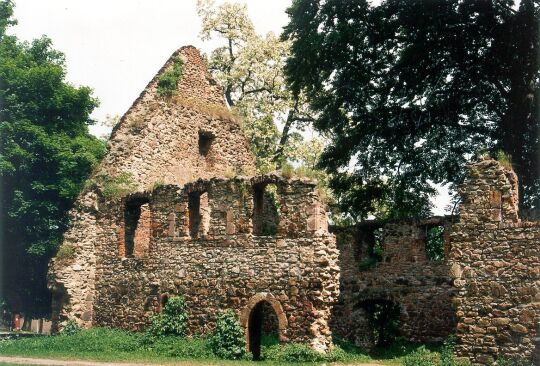 Ruine des Klosters Nimbschen bei Grimma