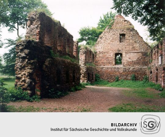 Ruine des Klosters Nimbschen bei Grimma