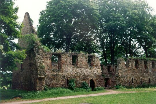 Ruine des Klosters Nimbschen bei Grimma