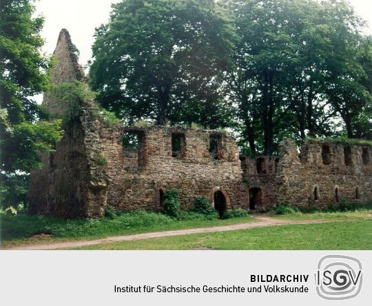 Ruine des Klosters Nimbschen bei Grimma