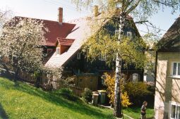 Bild: Wiese hinter einem Wohnhaus in Obercunnersdorf