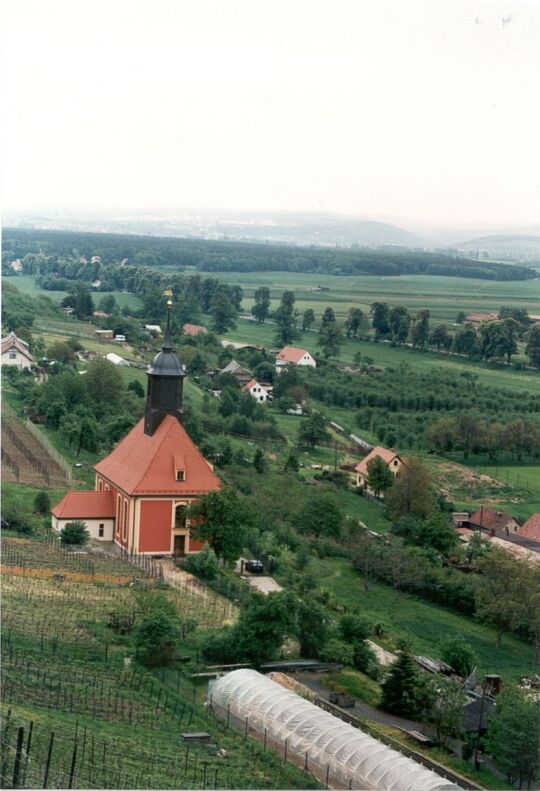 Blick zur Pillnitzer Weinbergkirche