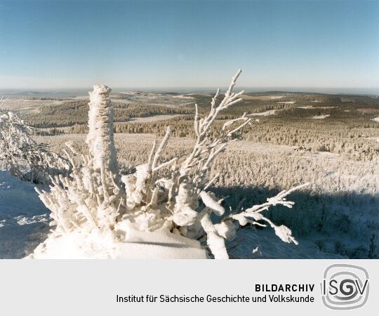 Blick vom Kahleberg nach Schellerau