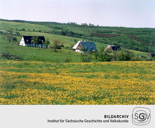 Wohnhäuser in Zinnwald
