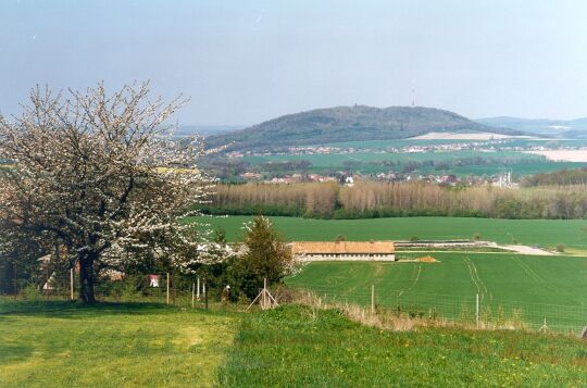 Blick zum Löbauer Berg